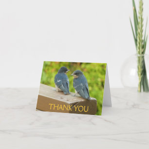 Cartão De Agradecimento Baby Barn Swallow