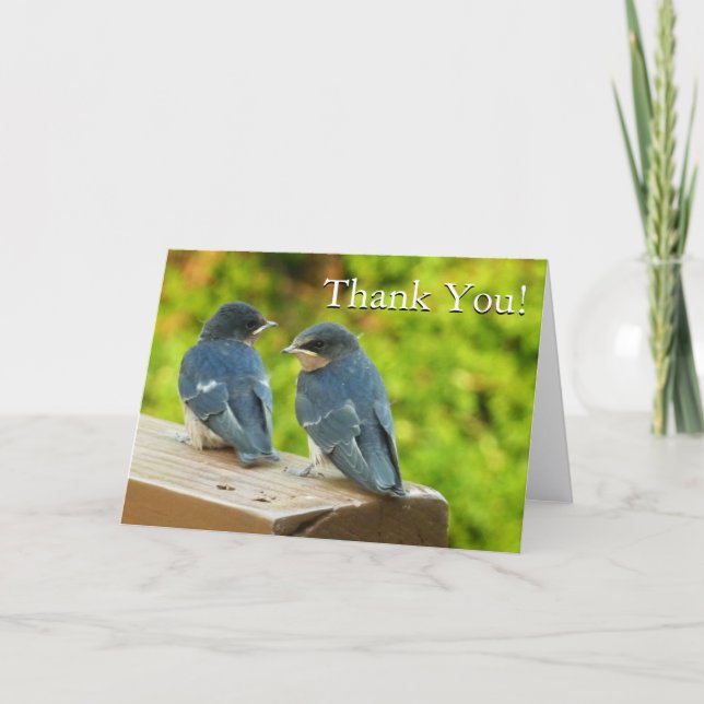Cartão De Agradecimento Baby Barn Swallow Natureza Obrigado (Frente)