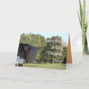 Cartão De Agradecimento BabyCalf ThankYou-customize any occasion