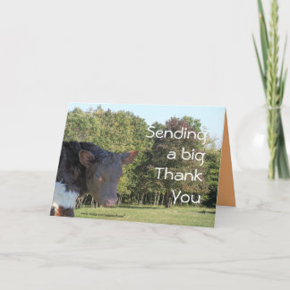 Cartão De Agradecimento BabyCalf ThankYou-customize any occasion
