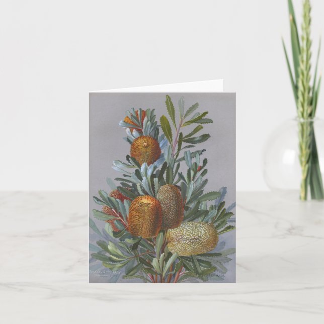 Cartão De Agradecimento Banksia Australian Wildflower Watercolor (Frente)