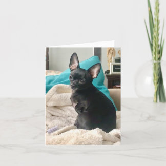 Cartão De Agradecimento barba dobrada