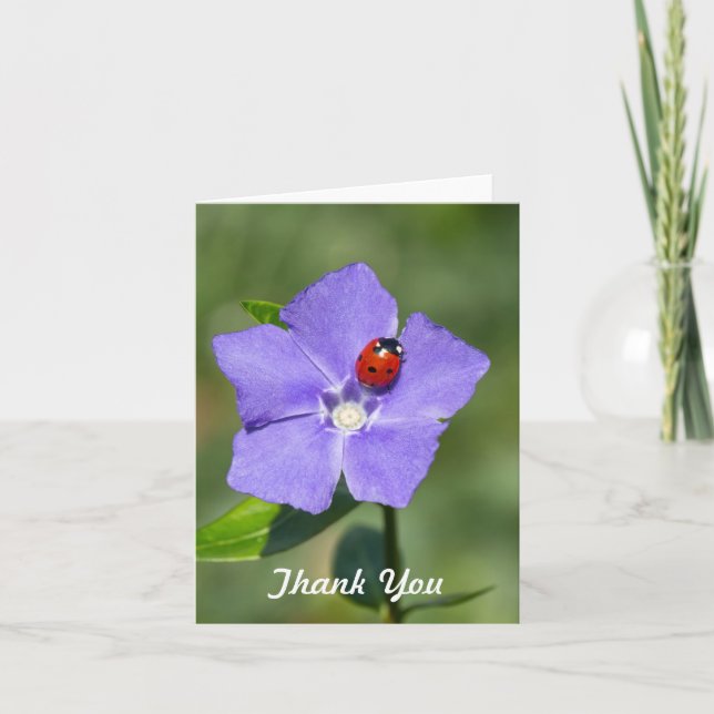 Cartão De Agradecimento Beautiful Ladybug on Periwinkle Thank you Card (Frente)