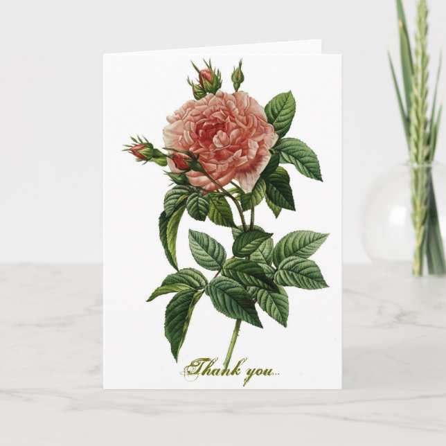 Cartão De Agradecimento Beautiful Rose (Frente)