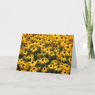 Cartão De Agradecimento Beautiful Sunflowers, Lots and Lots of Black Eyed