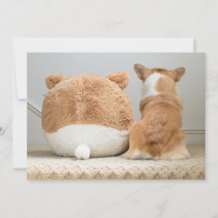 Cartão De Agradecimento Bebês Mais Pobres   Corgi & Plush Puppy