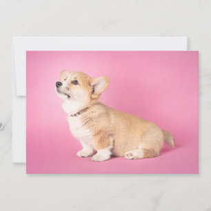Cartão De Agradecimento Bebês Mais Pobres Corgi-Puppy rosa