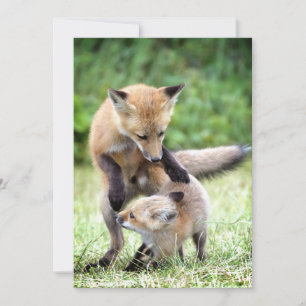 Cartão De Agradecimento Bebês Mais Pobres Kit Fox Adorável e Mama