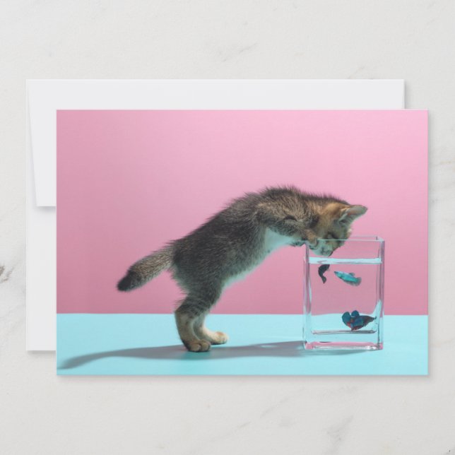 Cartão De Agradecimento Bebês Mais Pobres | Kitten Olhando para Fish Bowl (Frente)