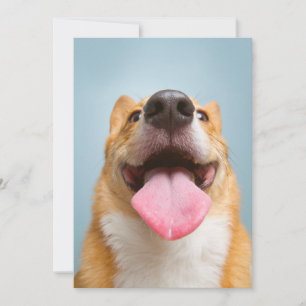 Cartão De Agradecimento Bebês Mais Pobres Língua Corgi