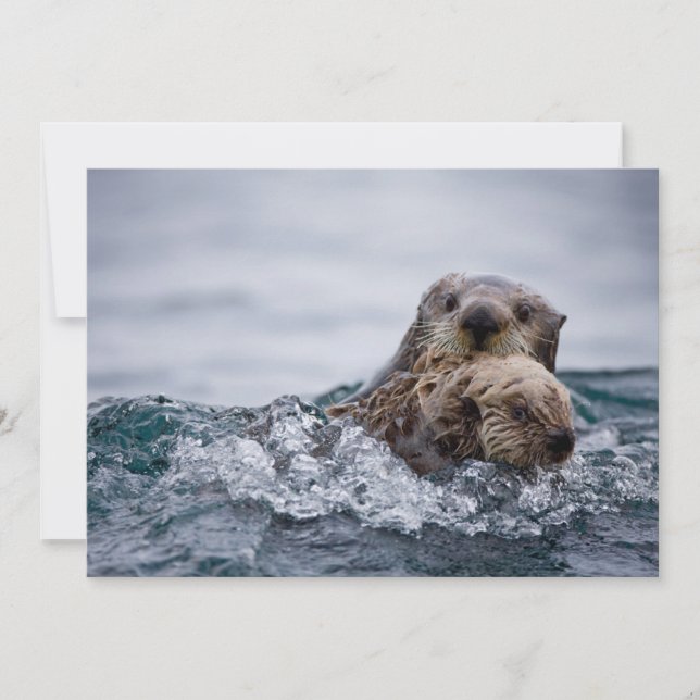 Cartão De Agradecimento Bebês Mais Pobres | Outro Bebê e mãe (Frente)