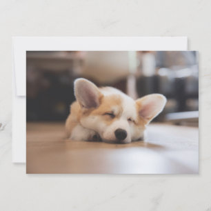 Cartão De Agradecimento Bebês Mais Pobres   Sleepy Corgi