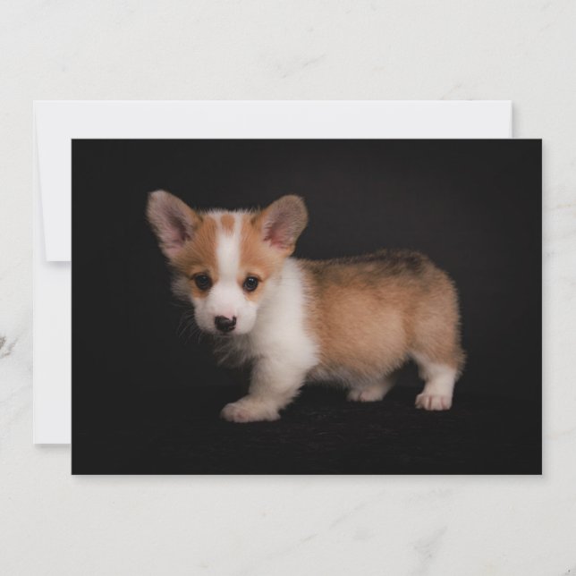 Cartão De Agradecimento Bebês Mais Pobres | Tiny Corgi (Frente)