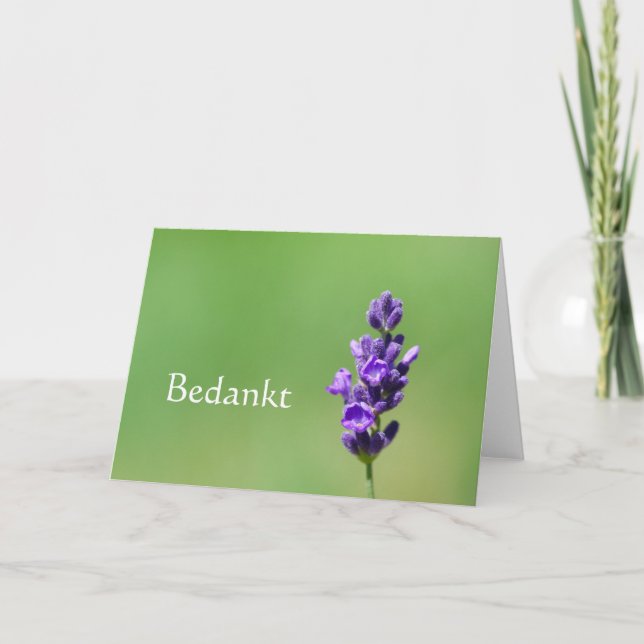 Cartão De Agradecimento Bedankt - Obrigado em holandês com flor de lavanda (Frente)