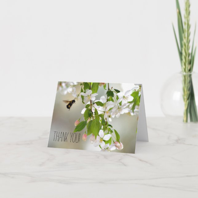 Cartão De Agradecimento Bee Crabapple Blossom Flower Floral Thank You Note (Frente)