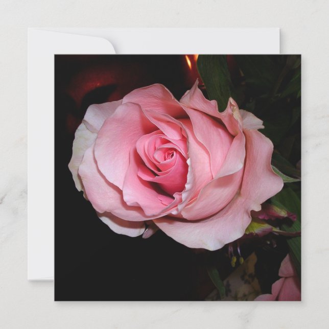 Cartão De Agradecimento Bela Rosa Rosa (Frente)