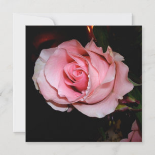 Cartão De Agradecimento Bela Rosa Rosa