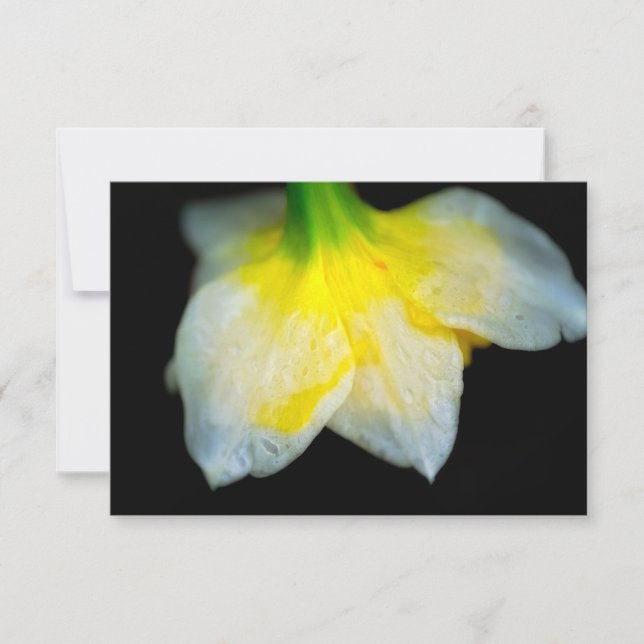 Cartão De Agradecimento Beleza por baixo (Frente)