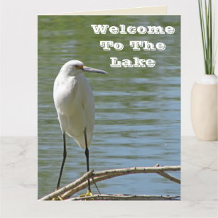 Cartão De Agradecimento Bem-Vindo Ao Lago White Egret Foto Lakeside Guest