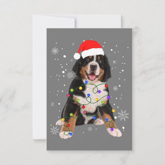 Cartão De Agradecimento Bernese Mountain Dog Ilumina Fama de Natal (Frente)