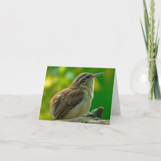 Cartão De Agradecimento Bird Notecard