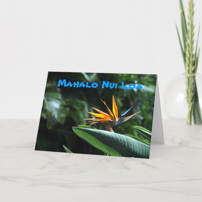 Cartão De Agradecimento Bird of Paradise Flower Thank You Card (Frente)