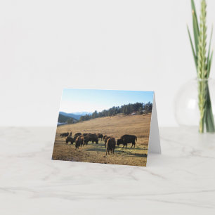 Cartão De Agradecimento Bison no Colorado