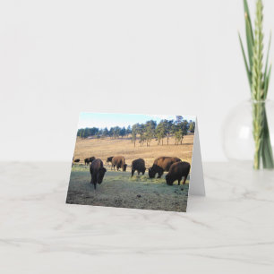 Cartão De Agradecimento Bison no Colorado