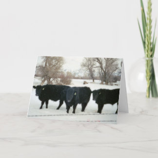 Cartão De Agradecimento Black Cattle in Snow