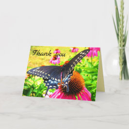Cartão De Agradecimento Black Swallowtail Butterfly Pink Echinacea Flowers