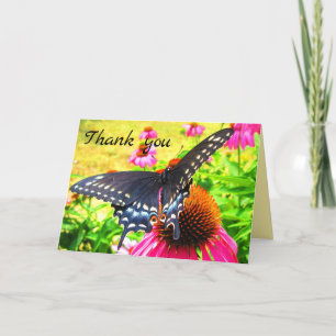 Cartão De Agradecimento Black Swallowtail Butterfly Pink Echinacea Flowers