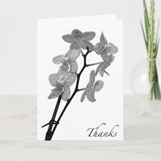 Cartão De Agradecimento Blank Black and White Orchid Thank You Card (Frente)