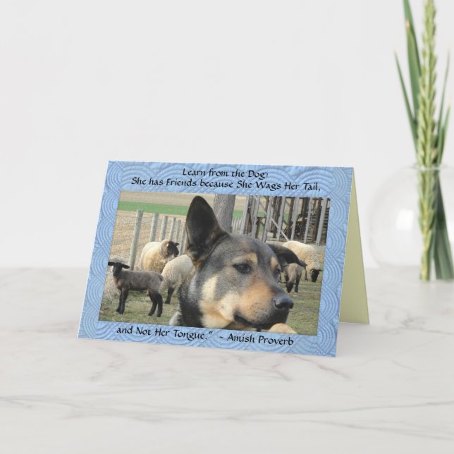 Cartão De Agradecimento Blank Cards! Dog Proverb. (Frente)