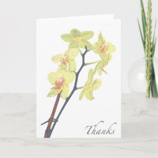 Cartão De Agradecimento Blank Golden Treasure Orchid Thank You Card