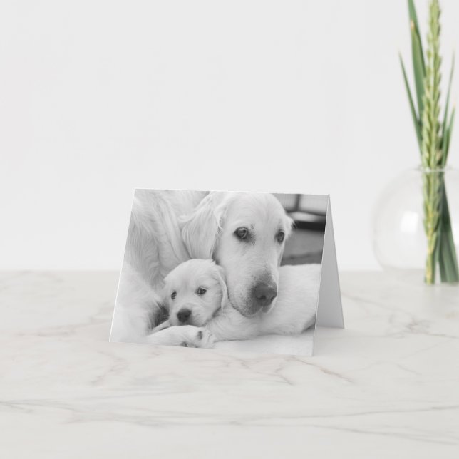 Cartão De Agradecimento Blank Greeting Card (Frente)