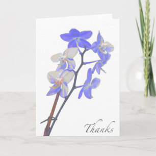Cartão De Agradecimento Blank Purple Orchid Thank You Card