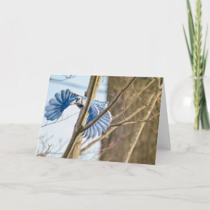 Cartão De Agradecimento Blue Jay Peanuts Fora