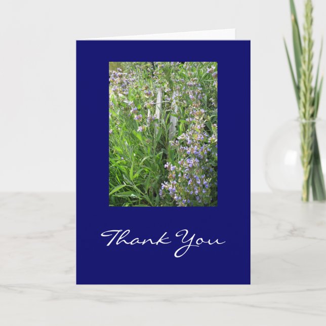 Cartão De Agradecimento Blue Sage Thank You Cards (Frente)