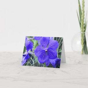 Cartão De Agradecimento Blue Vanda Orchids All Purpose Greeting Card