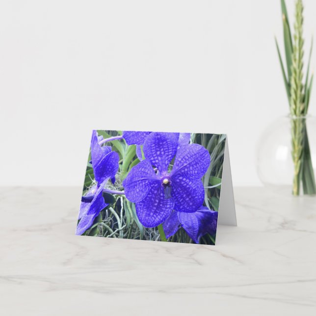 Cartão De Agradecimento Blue Vanda Orchids All Purpose Greeting Card (Frente)