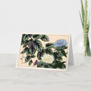 Cartão De Agradecimento Blue & White Stokes Aster Botanical Art Card