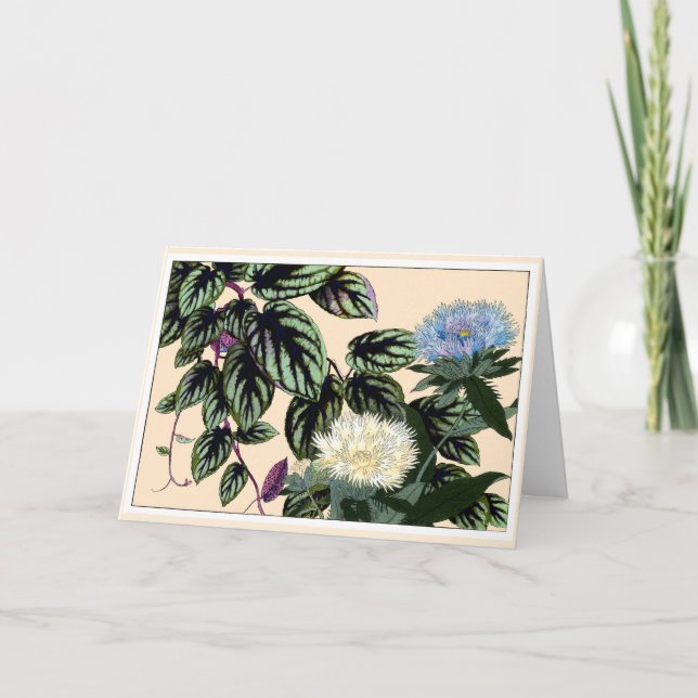 Cartão De Agradecimento Blue & White Stokes Aster Botanical Art Card (Frente)