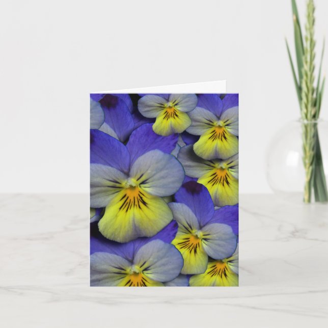 Cartão De Agradecimento Blue & Yellow Wild Pansy Thank You Card (Frente)