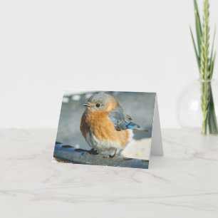 Cartão De Agradecimento Bluebird of Happiness