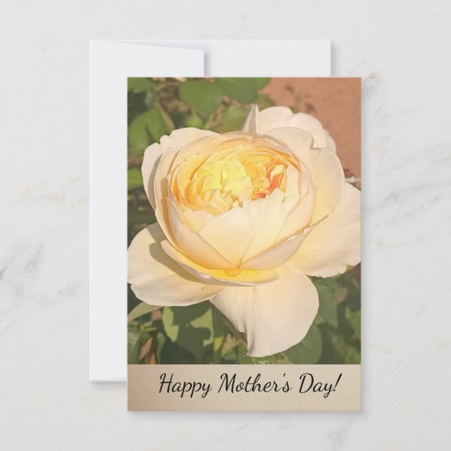 Cartão De Agradecimento Boho Floral Ephemera photo (Frente)