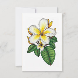 Cartão De Agradecimento Bonito Plumeria Amarela e Branca Havaiana