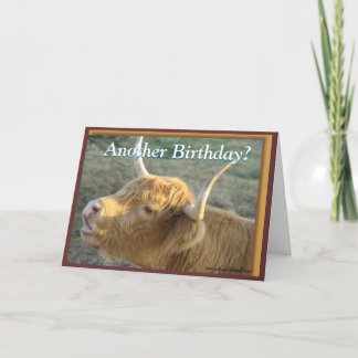 Cartão De Agradecimento BonnieG- Birthday-customize