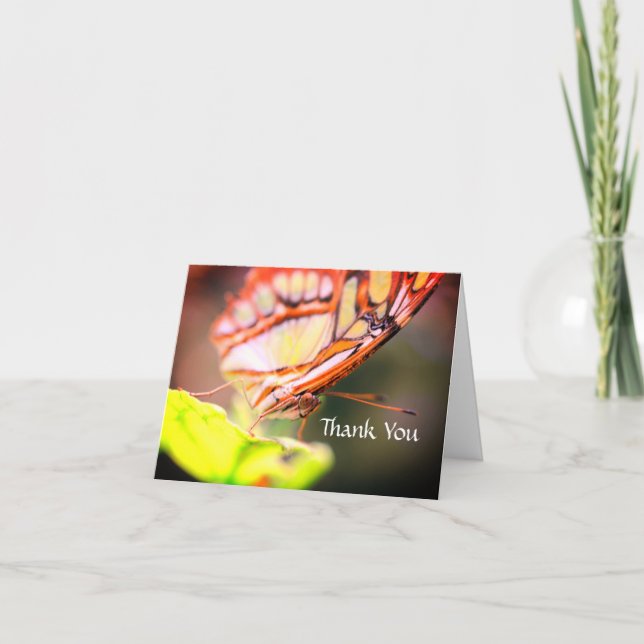 Cartão De Agradecimento Borboleta Cara Natureza Obrigado (Frente)