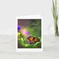 Borboleta Monarch em posição floral