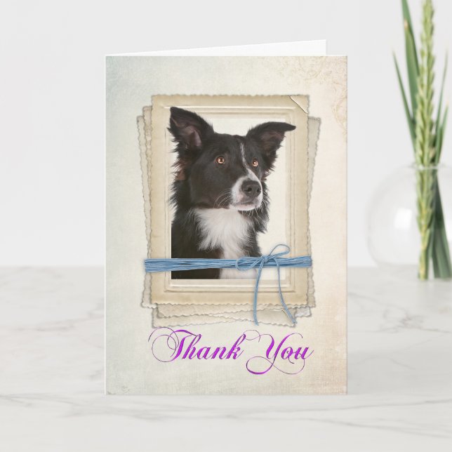 Cartão De Agradecimento Border Collie Thank You Card (Frente)